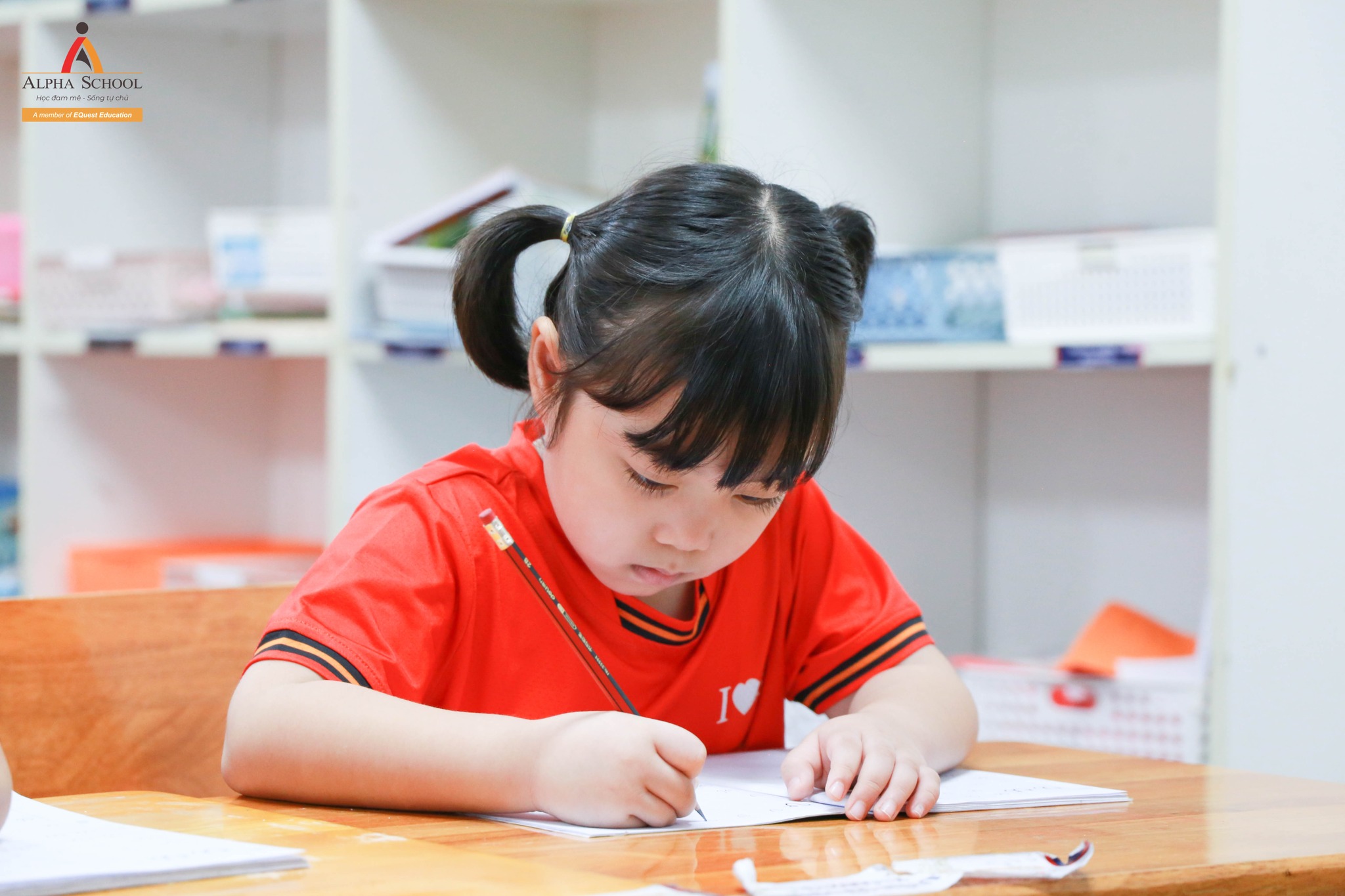 481081719 1049130423914750 6780558457305164866 n